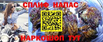 сатива Жуковский