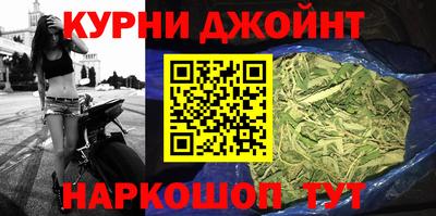 сатива Жуковский