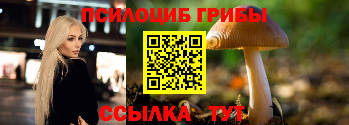 Галлюциногенные грибы MAGIC MUSHROOMS Краснодар