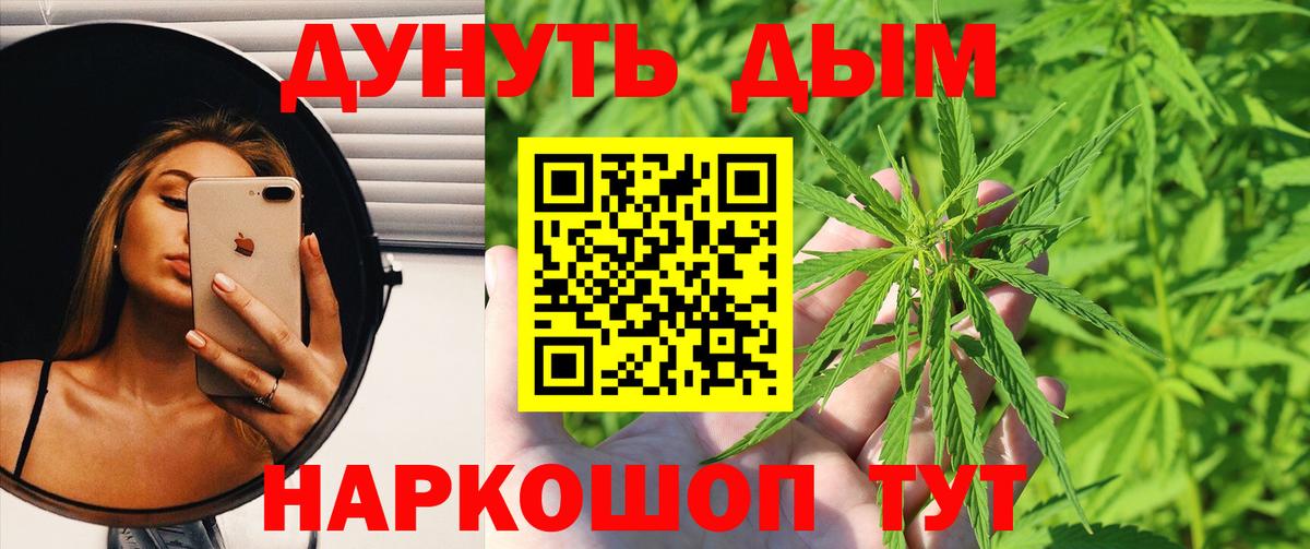 Шишки марихуана SATIVA & INDICA  Вход с VPN  Марихуана планчик  Краснодар  Конопля Amnesia  Бошки Шишки SATIVA & INDICA 