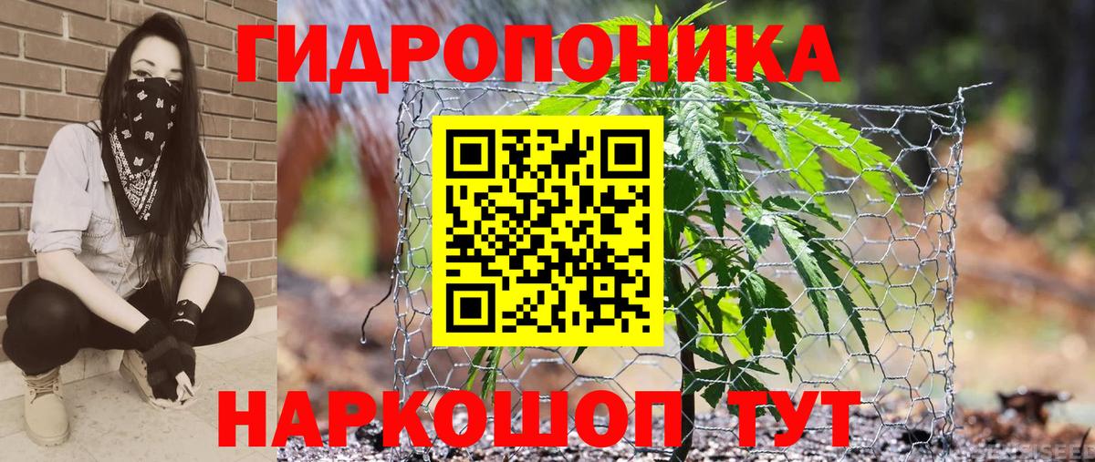 Каннабис AK-47 Краснодар